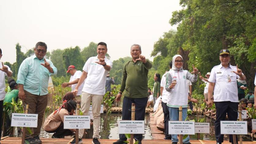 Apical Percepat Perlindungan Ekosistem dengan Penanaman 3.000 Pohon Mangrove di Jakarta