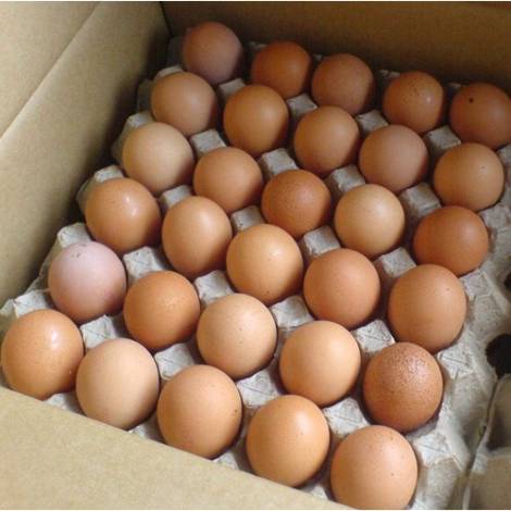 Harga Telur Merangkak Naik, Wapres: Pemerintah Siapkan Bansos yang Diperbesar