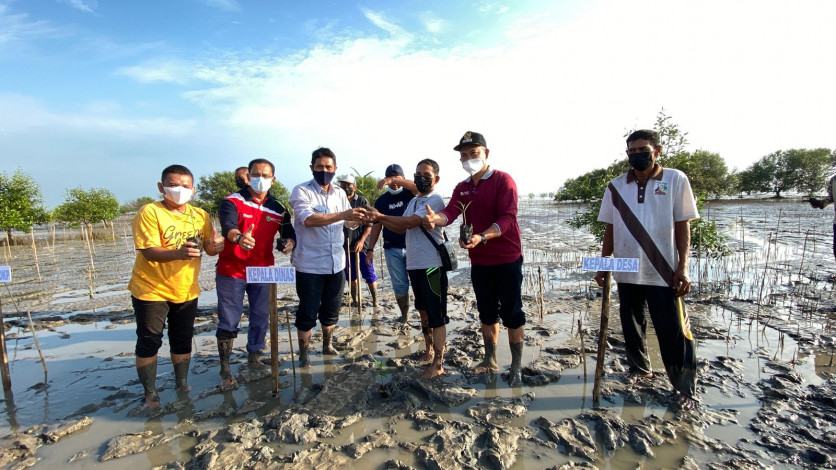 DKP Riau Bersama KMKLP Tanam 14 Ribu Mangrove di Teluk Papal Bengkalis