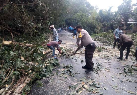 Pohon Tumbang Tutup Akses Jalan Bathin Alam, Personel Polsek Bengkalis dan Warga Gotong Royong Bersihkan Jalan