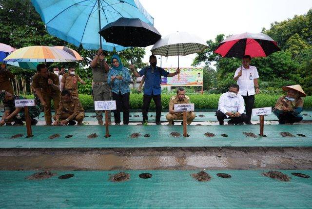 Siapkan Bantuan 65.000 Bibit Cabai, Riau Launching Gerakan Tanam Cabai di Perkarangan Rumah