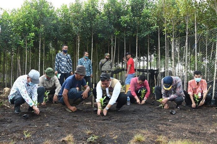 Pemulihan Ekonomi di Riau Sejalan dengan Pemulihan Lingkungan