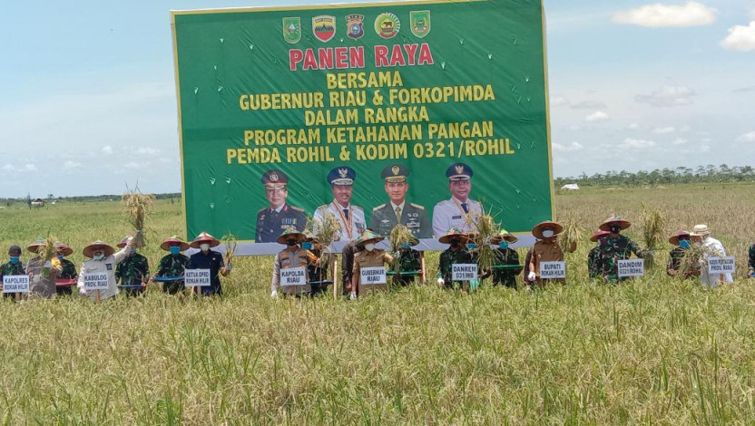 Danrem 031 WB Bersama Gubernur dan Kapolda Riau Panen Raya Padi di Rohil