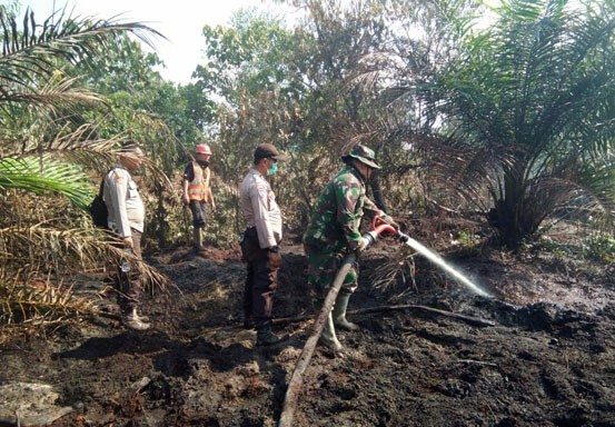 TNI dan Polri Padamkam Karhutla di Perbatasan TNTN