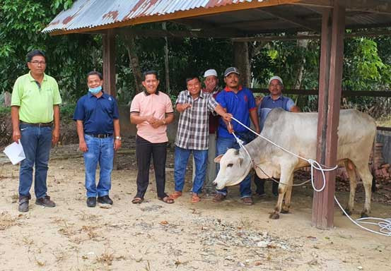 PT Adei dan PT Safari Riau Salurkan 11 Ekor Sapi di Desa Sekitar Perusahaan