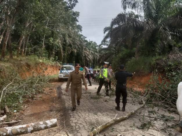 Pohon Tumbang Halangi Jalan Tak Hentikan Niat Polisi Untuk Cooling System Pemilu Damai