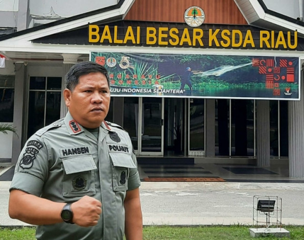 Ada Jejak Harimau di Areal Kerja PT Gandahera Hendana, BKSDA Riau: Masyarakat Tidak Perlu Resah