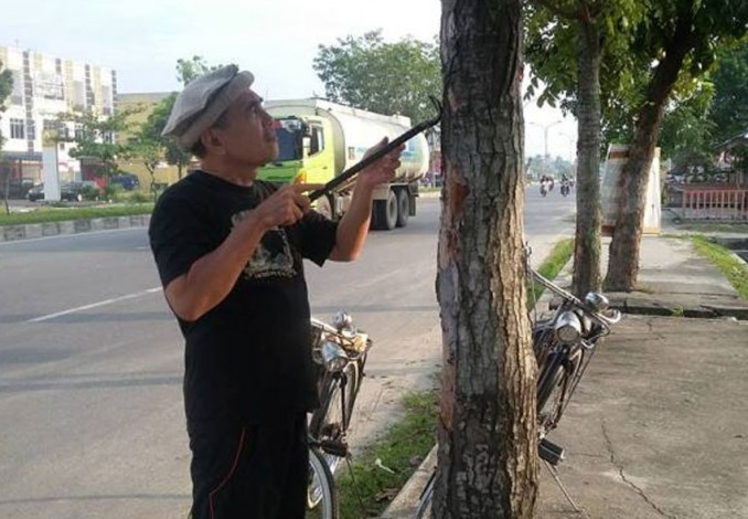 Suhaimi, Relawan Pelindung Pohon Bersepeda Ontel