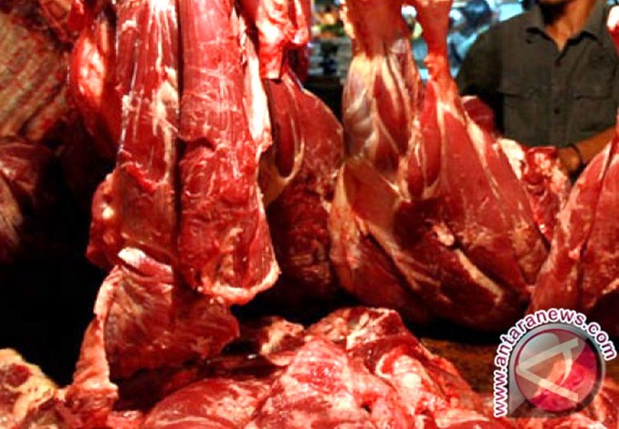 Laris Manis, Besok 10 Ton Daging Beku Asal India Tiba di Pekanbaru
