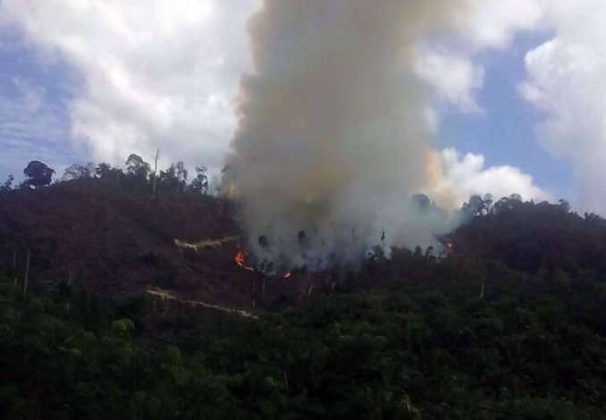 5 Hektare Lahan Terbakar di Kampar, BPBD Riau Kerahkan Helikopter