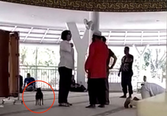 Pengurus MUI Pusat: Wanita Bawa Anjing Ke Dalam Masjid Penuhi Unsur Penistaan Dalam KUHP