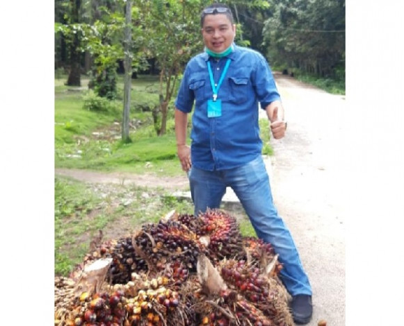 Kenaikan Harga Minyak Mentah Dunia Picu Naiknya Harga Sawit Riau