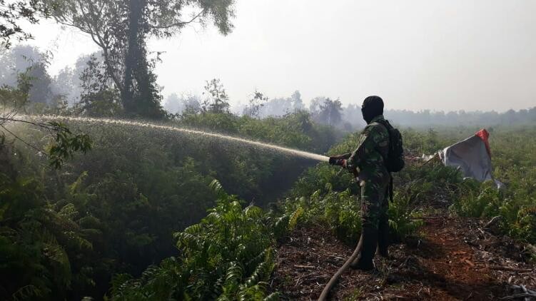 Satgas Kerahkan Lima Heli Padamkan Karhutla di Riau