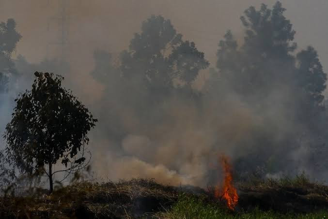 Satgas Karhutla Riau Masih Berjibaku Padamkan Kebakaran di Dumai dan Inhu