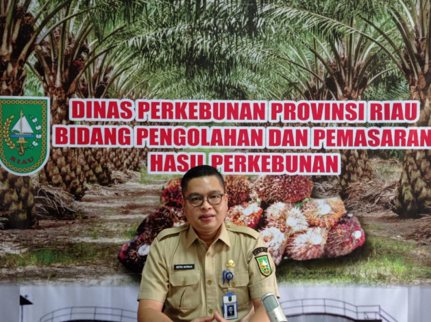 Turun Sedikit, Harga Kelapa Sawit Riau Masih Berjaya di Level Rp2.782 Perkilogram