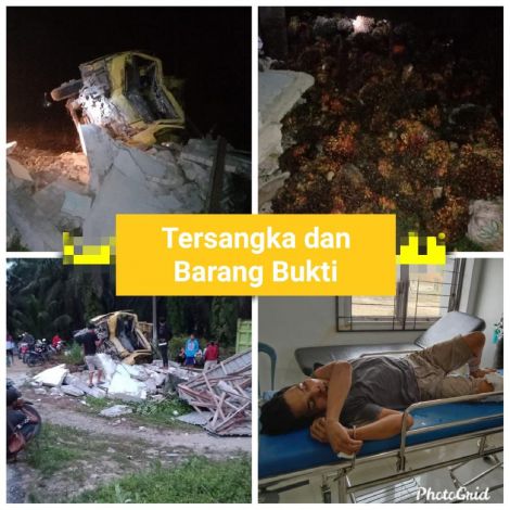 Truk Sawit Milik Anggota DPRD Riau Dibawa Kabur Pencuri Terguling, Satu Pelaku Diringkus karena Terjepit