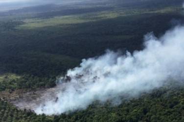 Status Siaga Dicabut, 1.245,97 Hektare Lahan di Riau Terbakar Sepanjang 2022 