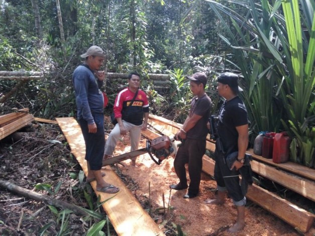 6 Pelaku Illegal Logging Ditangkap Polisi di Kawasan Hutan Biosfer