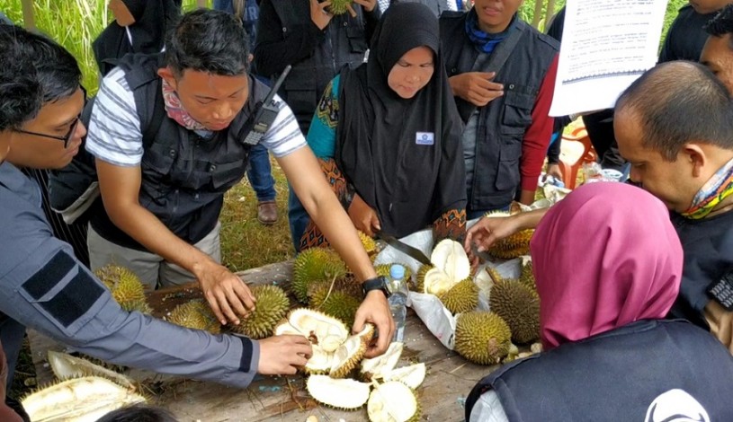 Peserta Pasar Seribu Durian Rohul Datang dari Berbagai Daerah di Riau