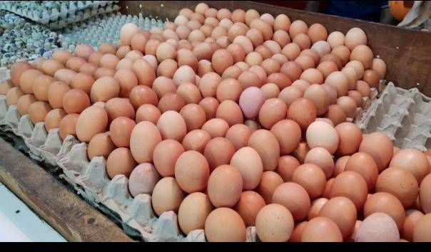 Kenaikan Harga Telur dan Daging Ayam Picu Inflasi Riau