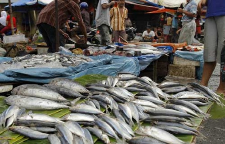 Tak Hanya Cabai, Harga Ikan Laut di Pekanbaru juga Naik