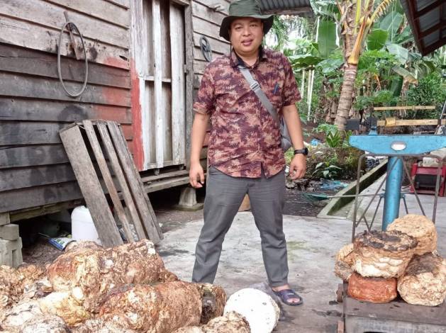 Harga Komoditi di Riau Pekan Ini Banyak yang Naik, Cek di Sini