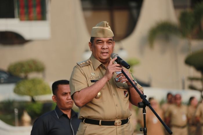 Gubernur Dukung Jokowi di Pilpres, Wagub Riau: Kalau Sikap Saya Sudah Jelas