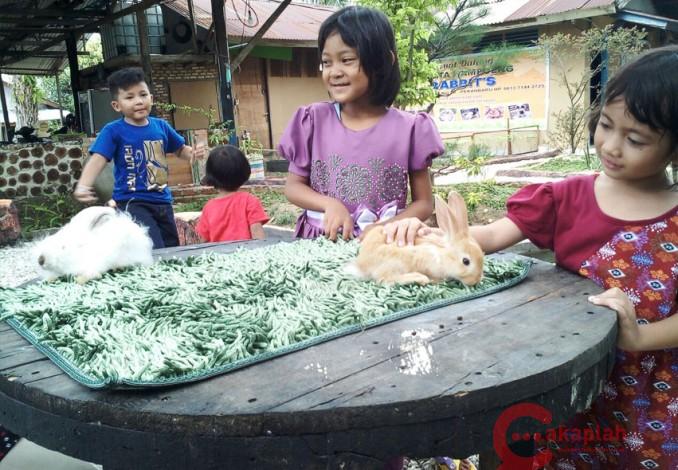 Kampoeng Rabbits Kulim, Wisata Alternatif di Pekanbaru
