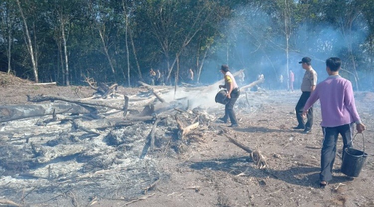 Tim Gabungan TNI-Polri Tangkap Terduga Pembakar Lahan di Rohul