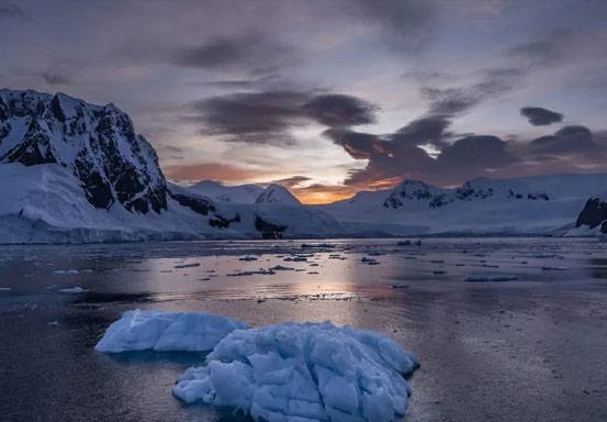 Antartika Kehilangan Es Laut Seukuran Argentina, Ke Mana Perginya?