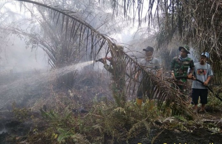 TNI Berjibaku Padamkan Karhutla di Rokan Hilir