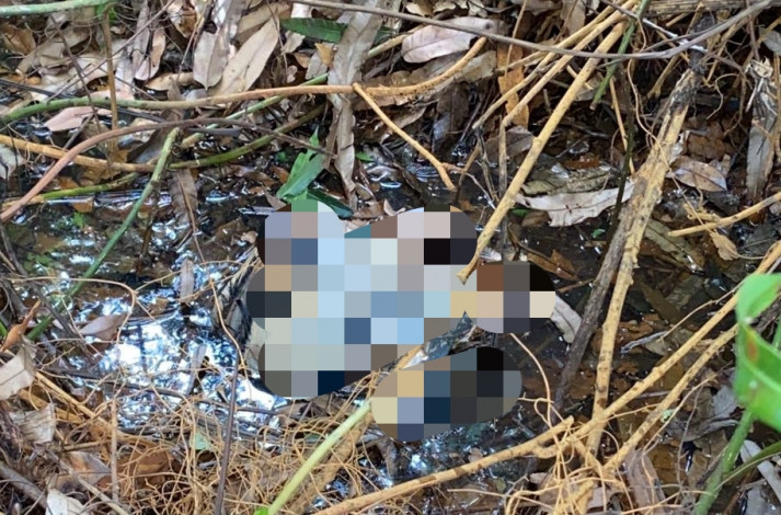 Pergi Main Game Tak Kunjung Pulang, Remaja di Inhu Ditemukan Membusuk dengan Kepala Terpisah
