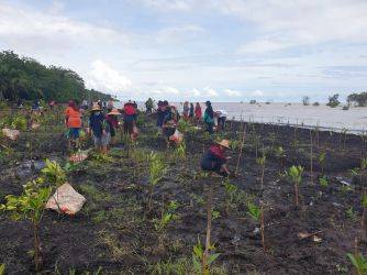 Rehabilitasi Mangrove Tak Terlalu Berpengaruh untuk Penanganan Abrasi