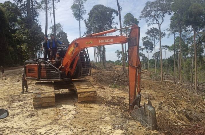 Periksa 11 Saksi, Perambah Hutan Gunung Sahilan Riau segera Ditetapkan Tersangka 