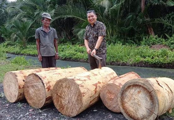 Harga Sejumlah Komoditi Perkebunan di Riau Stagnan
