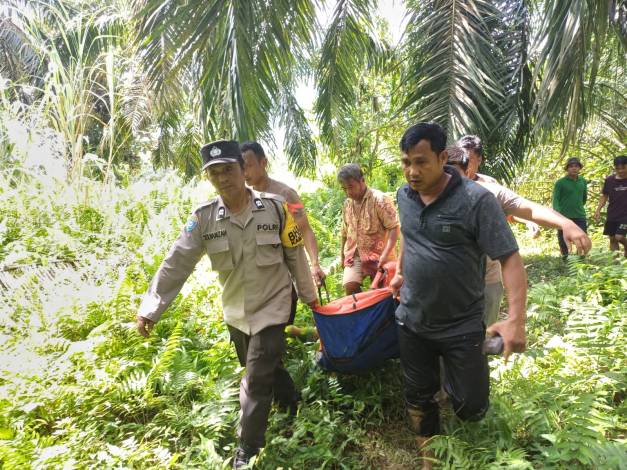 Hilang Tiga Hari di Sungai Batang Lubuh, Jenazah Saripudin Ditemukan Tersangkut di Rumpun Bambu