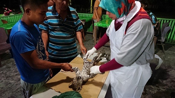 Polda Riau Periksa Dokter dan Pengelola Kebun Binatang Kasang Kulim