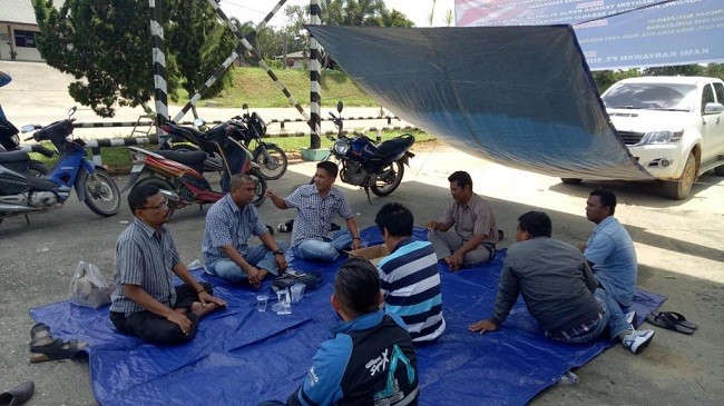 Karyawan PT SSS Gelar Aksi Pasang Tenda di PKS Desa Terantang Manuk, Pelalawan