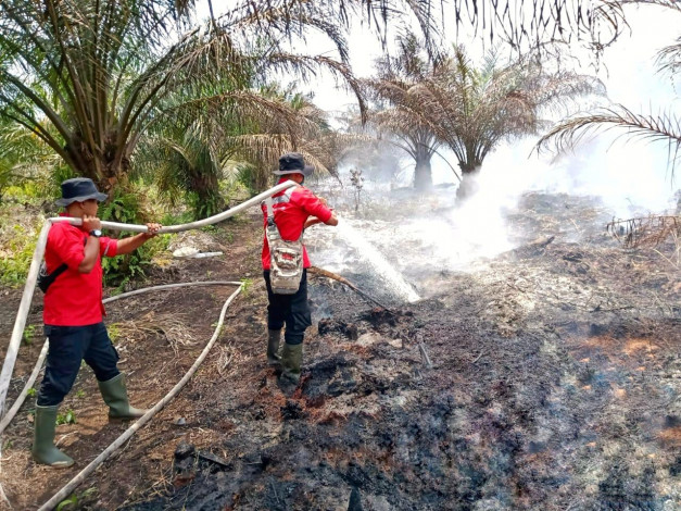 Satgas Karhutla Pelalawan Padamkan Titik Api di Desa Sering