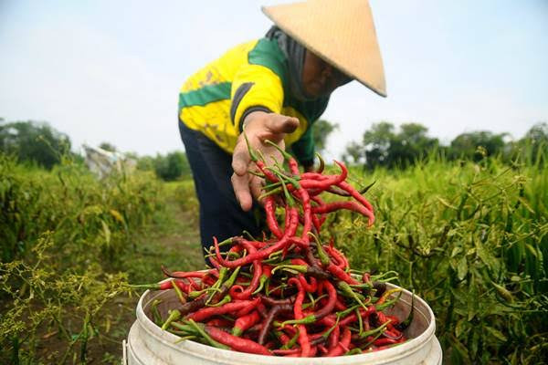 Nilai Tukar Petani Riau Tertinggi di Sumatera