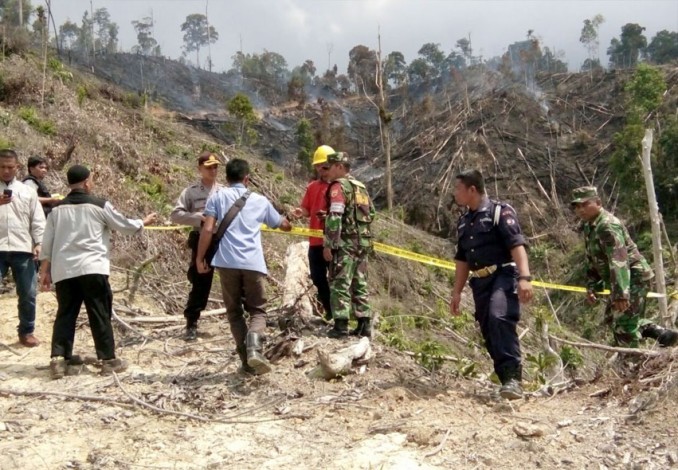 7 Hektare Lahan Terbakar di Kampar Mau Ditanami Sawit, Ini Temuan TNI dan Polisi