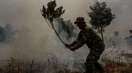 Enam Kecamatan di Pekanbaru Ini Rawan Kebakaran Lahan