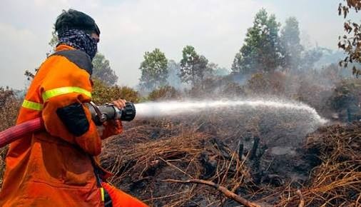 50 Titik Panas Kepung Sumatera, Riau Terbanyak