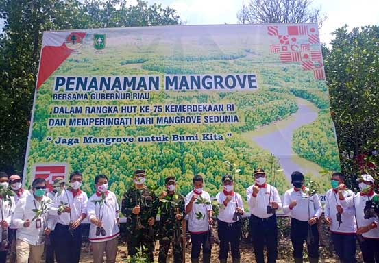 Gubri Tanam 2.020 Batang Bibit Mangrove dan Bakau di Dumai