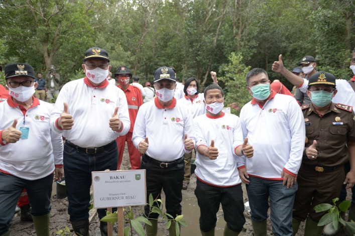 KLHK akan Tindak Tegas Penebangan Mangrove Ilegal