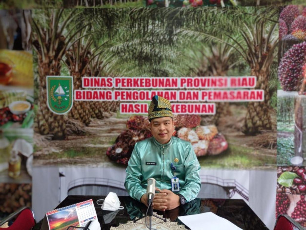 Tertinggi Sepanjang Sejarah, Harga Sawit Riau Capai Rp2.762 Perkilogram