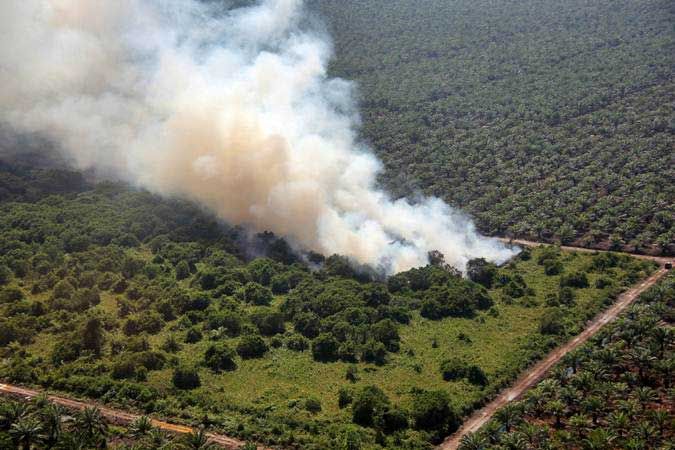Kurun Waktu 7 Bulan, 1.060 Hektare Lahan di Riau Terbakar