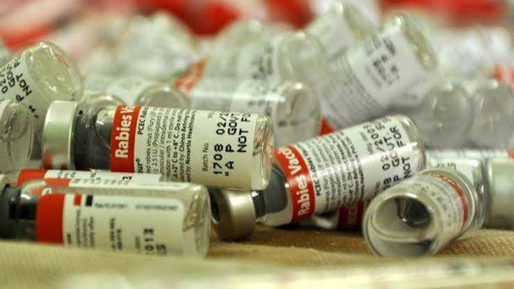 Dapat Tambahan 29 Ribu Dosis, Stok Vaksin Rabies di Riau Aman