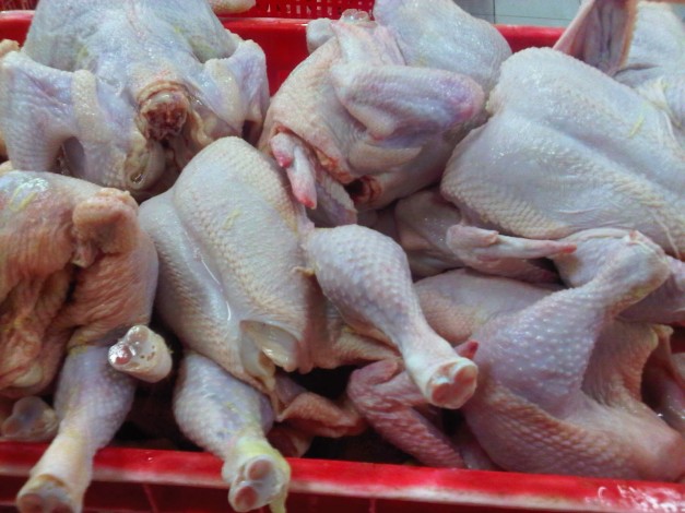 Harga Ayam Ras di Pekanbaru Turun Signifikan