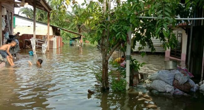 Diguyur Hujan, Puluhan Rumah di Pekanbaru Terendam Banjir